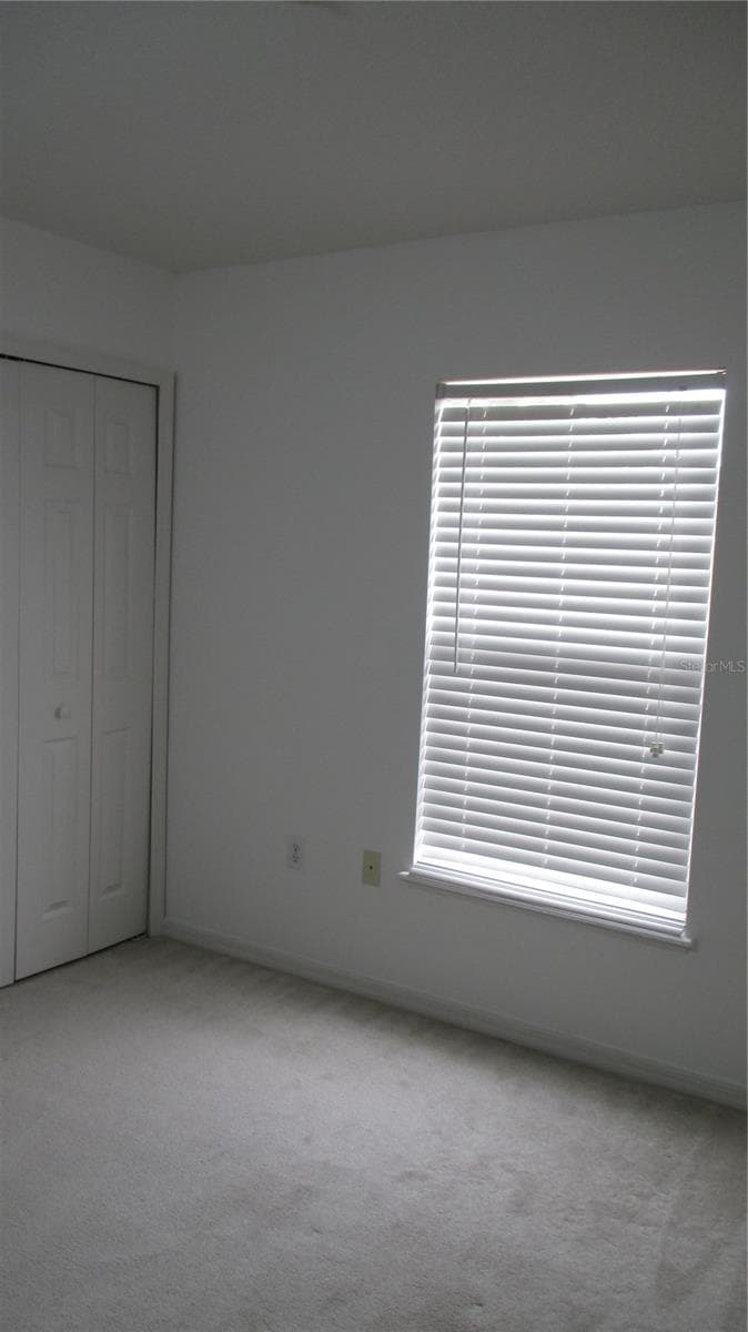 247 BLAKE AVENUE — photo 46 of 52