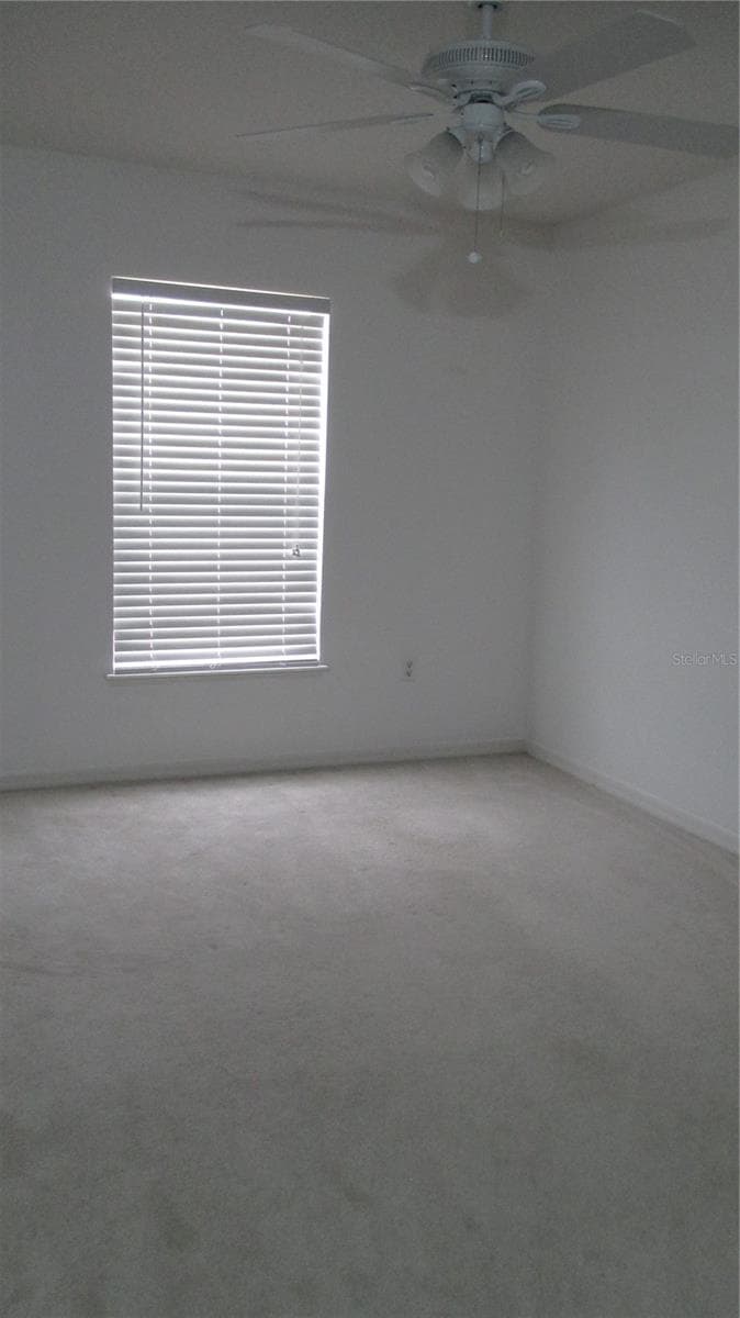 247 BLAKE AVENUE — photo 44 of 52