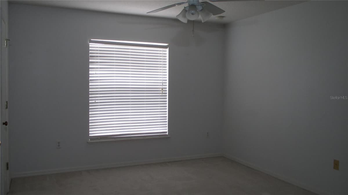 247 BLAKE AVENUE — photo 37 of 52