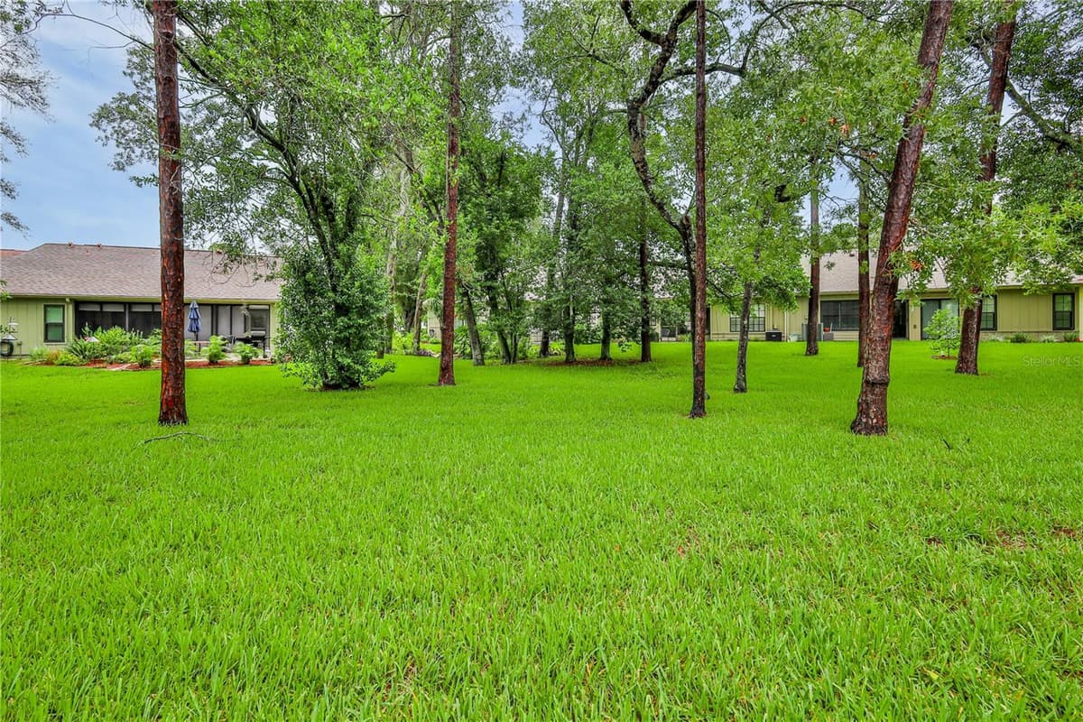 6591 BRAMBLELEAF DRIVE — photo 31 of 45