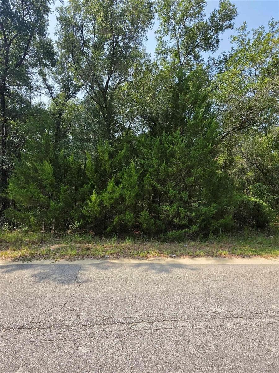 DUVAL AVENUE — photo 2 of 2