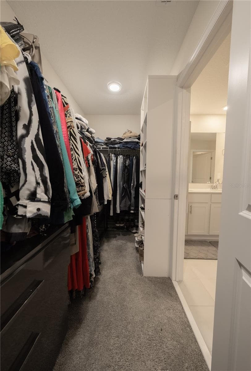 2825 MULLER OAK LOOP — photo 14 of 27
