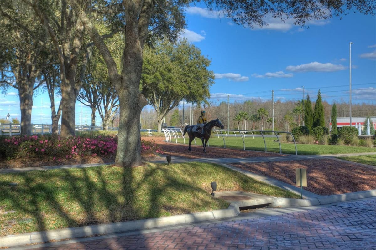 26923 AFFIRMED DRIVE — photo 58 of 60