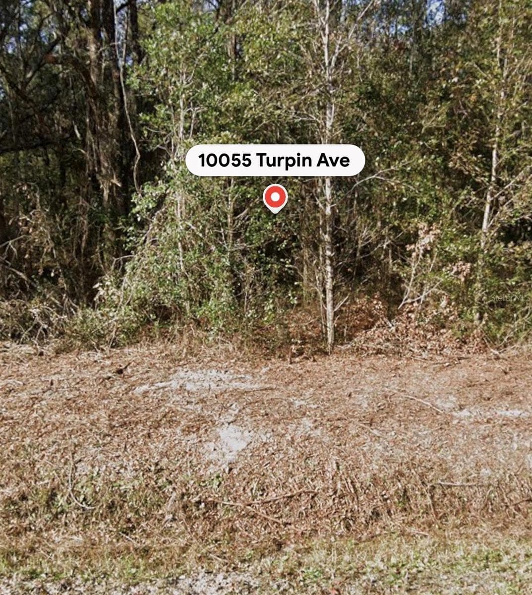 10055 TURPIN AVENUE — photo 4 of 6