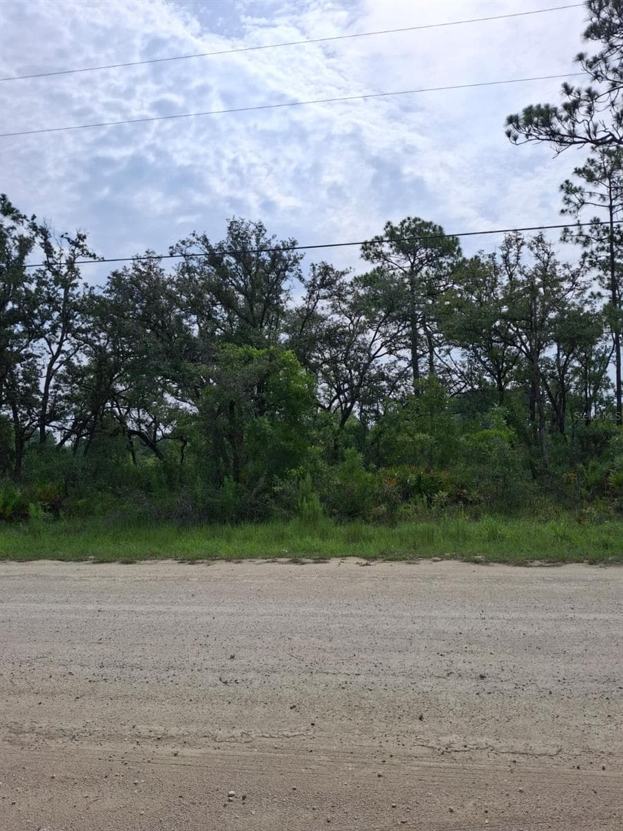 18308 PARAKEET ROAD — photo 1 of 8
