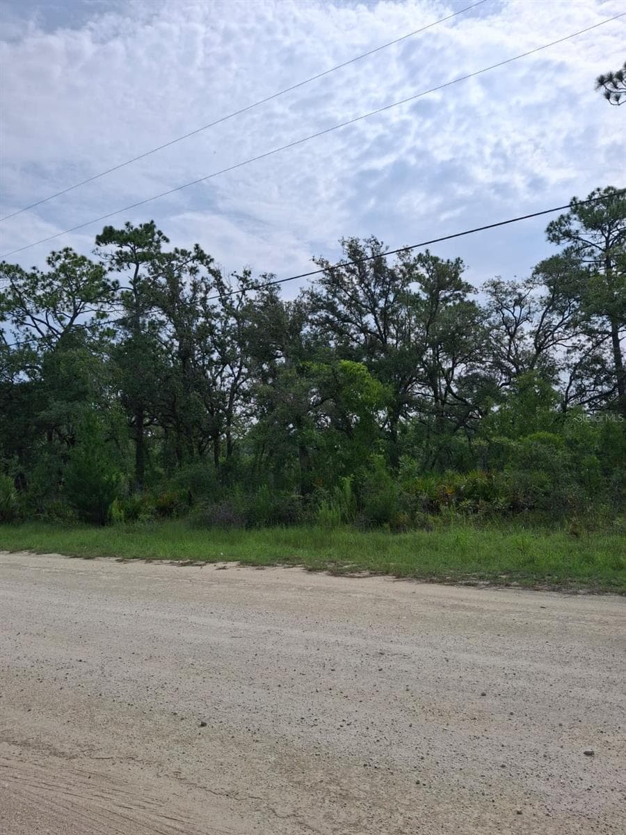 18308 PARAKEET ROAD — photo 3 of 8
