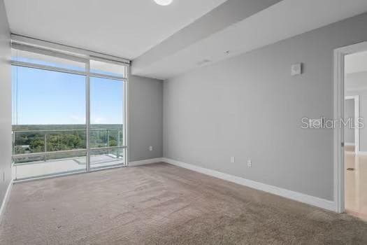 101 EOLA DRIVE — photo 18 of 88