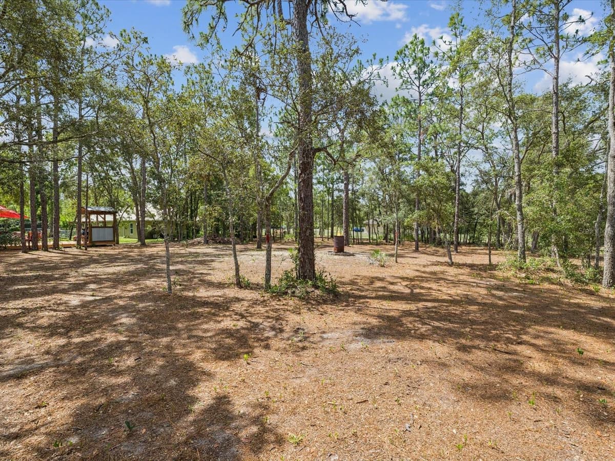 12229 BARNEVELDE ROAD — photo 44 of 63