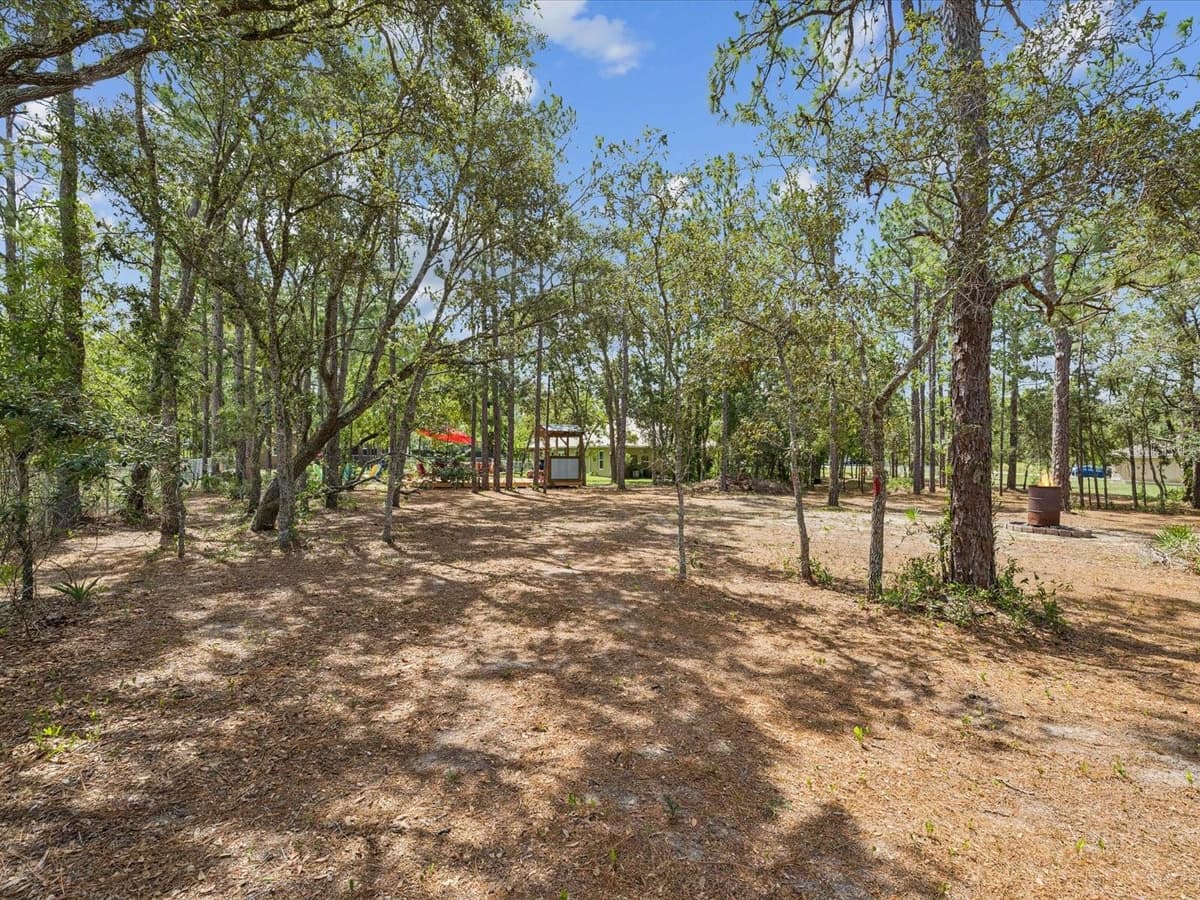 12229 BARNEVELDE ROAD — photo 43 of 63