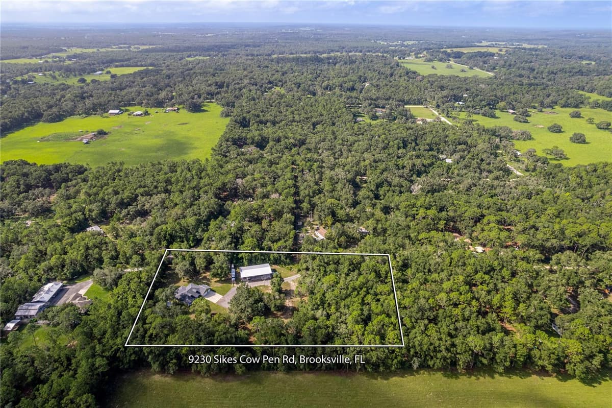 9230 SIKES COW PEN ROAD — photo 30 of 79
