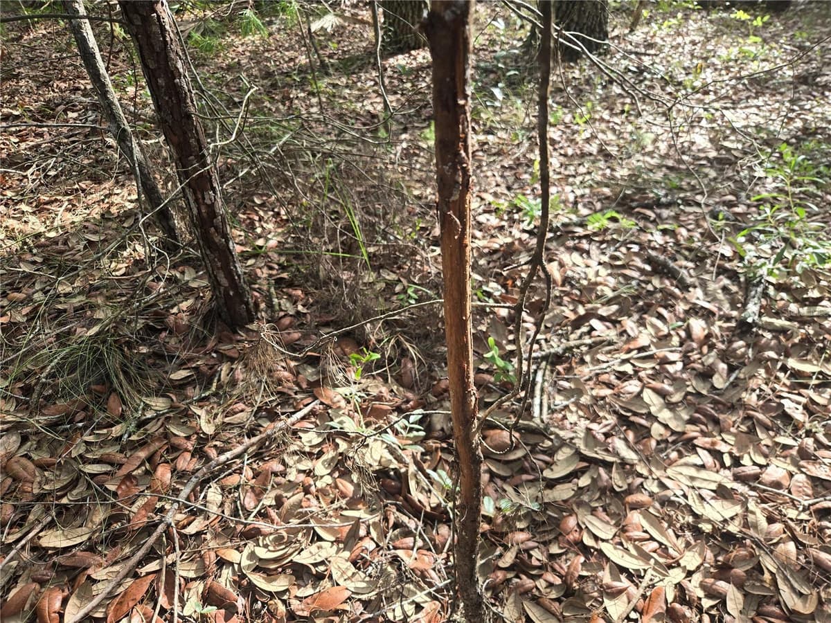 375 BUCK SPRINGS ROAD — photo 33 of 78