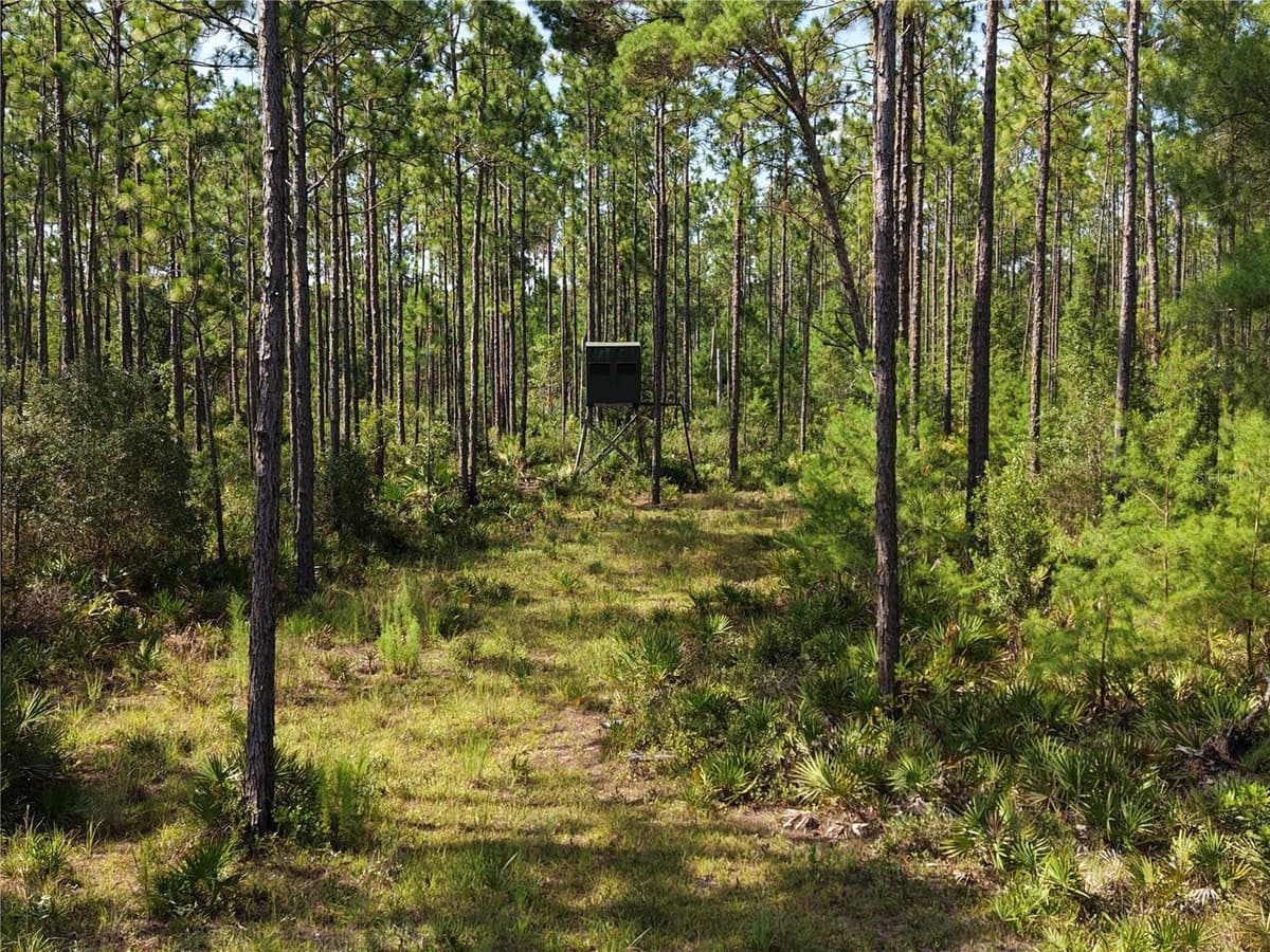 375 BUCK SPRINGS ROAD — photo 6 of 78