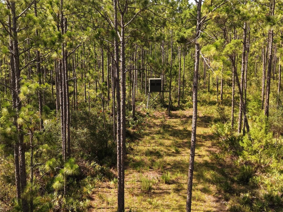 375 BUCK SPRINGS ROAD — photo 50 of 78