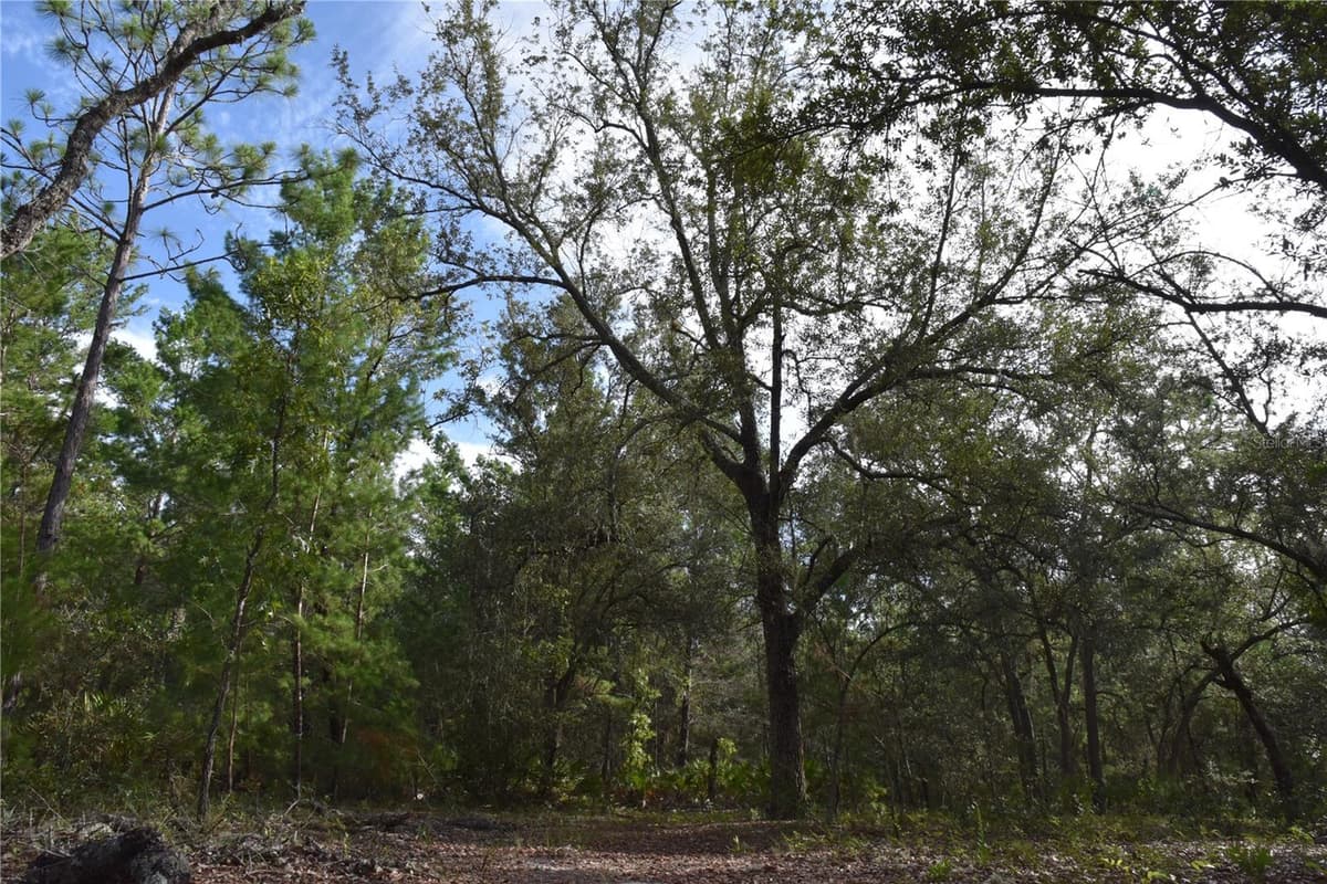 375 BUCK SPRINGS ROAD — photo 42 of 78