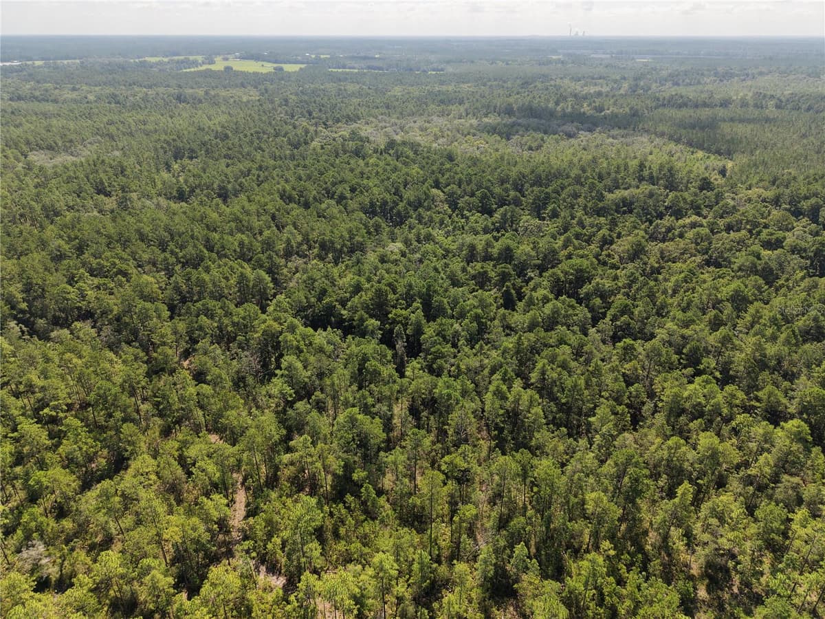 375 BUCK SPRINGS ROAD — photo 48 of 78