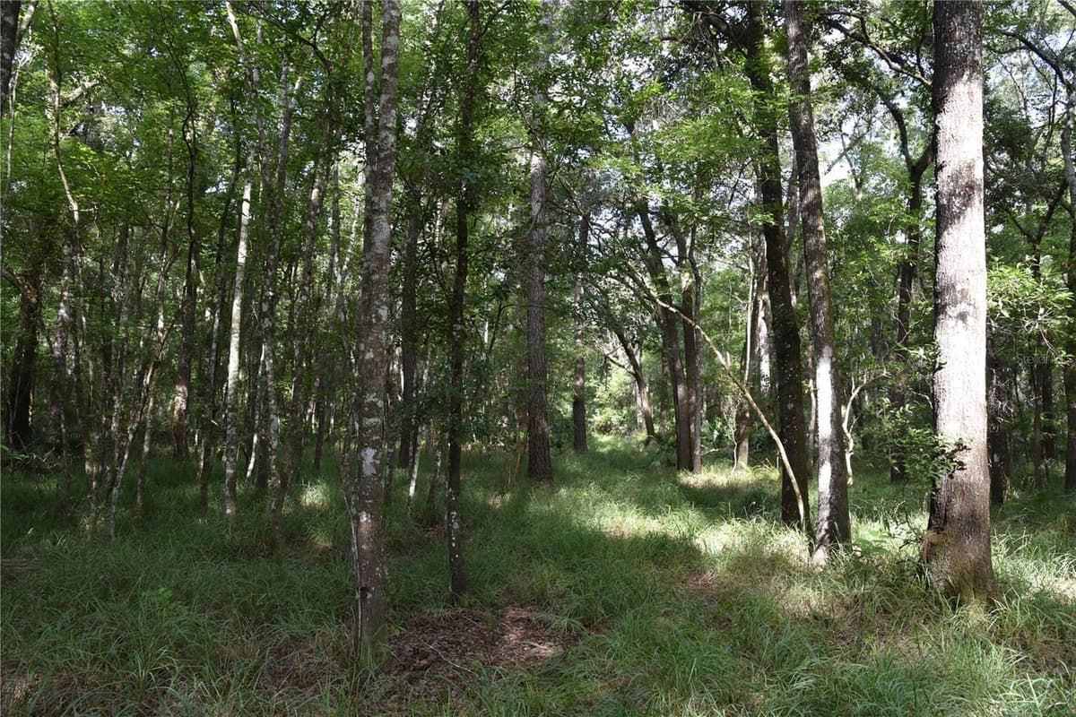 375 BUCK SPRINGS ROAD — photo 58 of 78