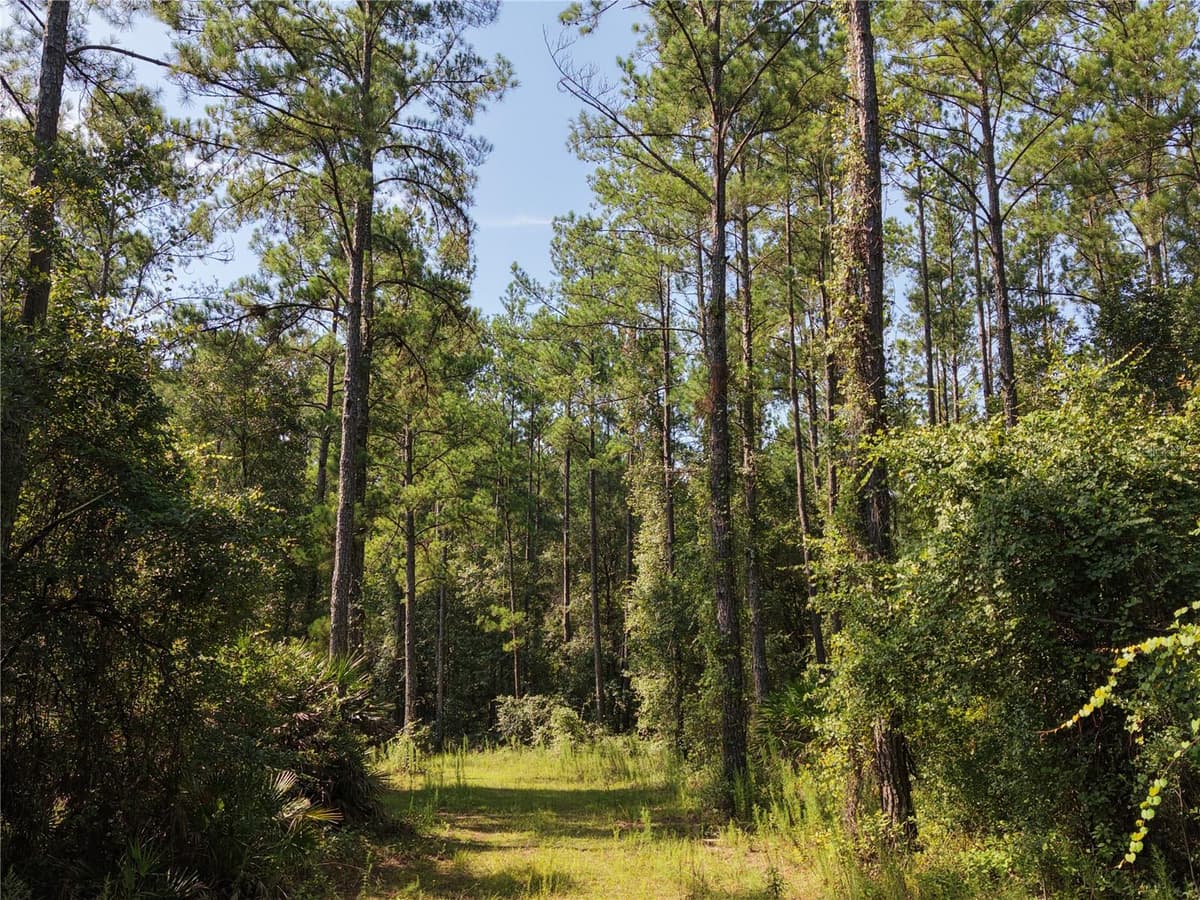 375 BUCK SPRINGS ROAD — photo 62 of 78