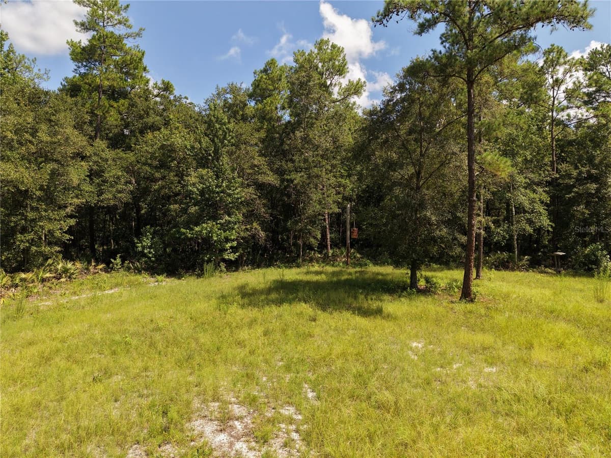 375 BUCK SPRINGS ROAD — photo 31 of 78