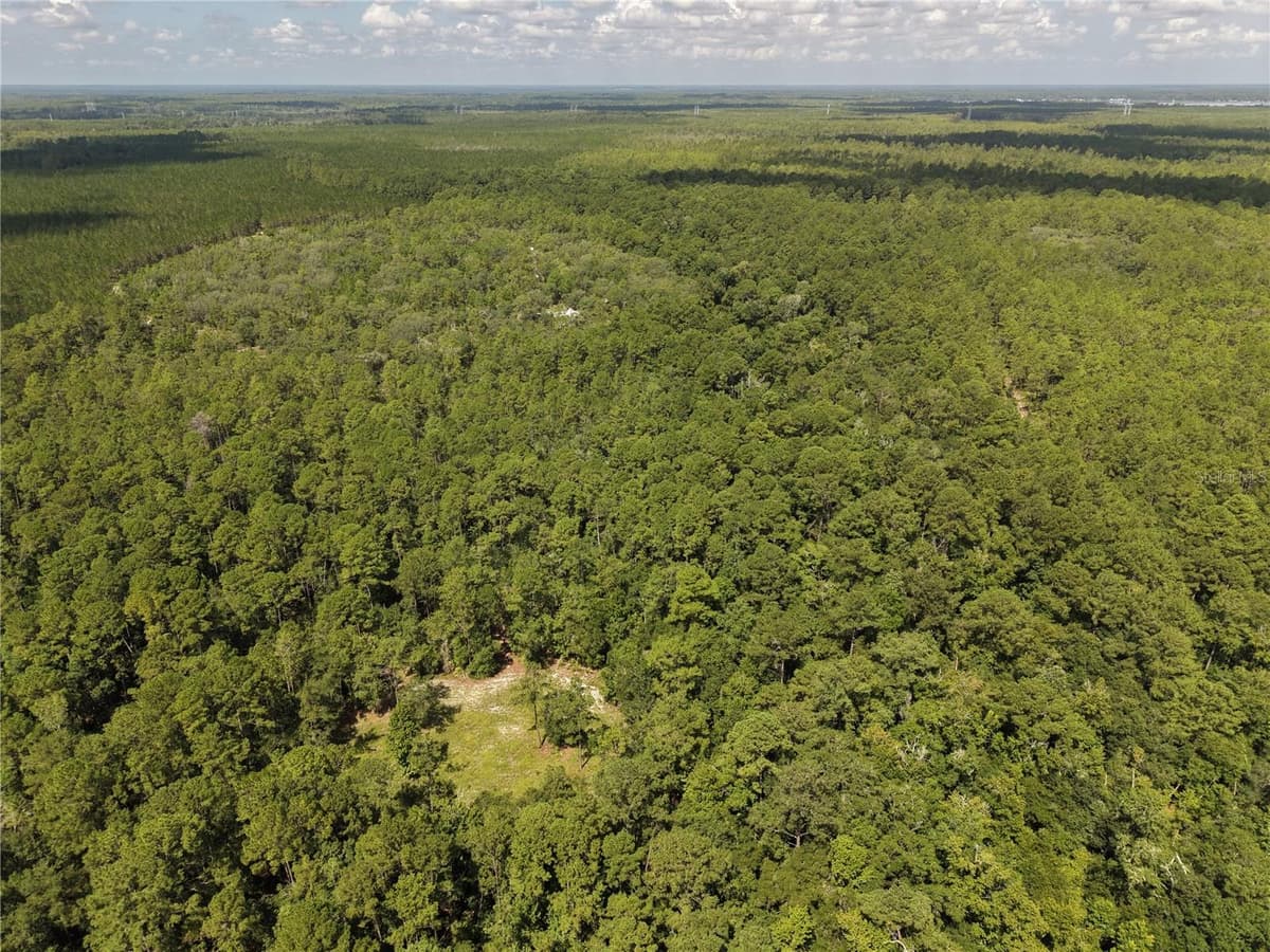 375 BUCK SPRINGS ROAD — photo 11 of 78