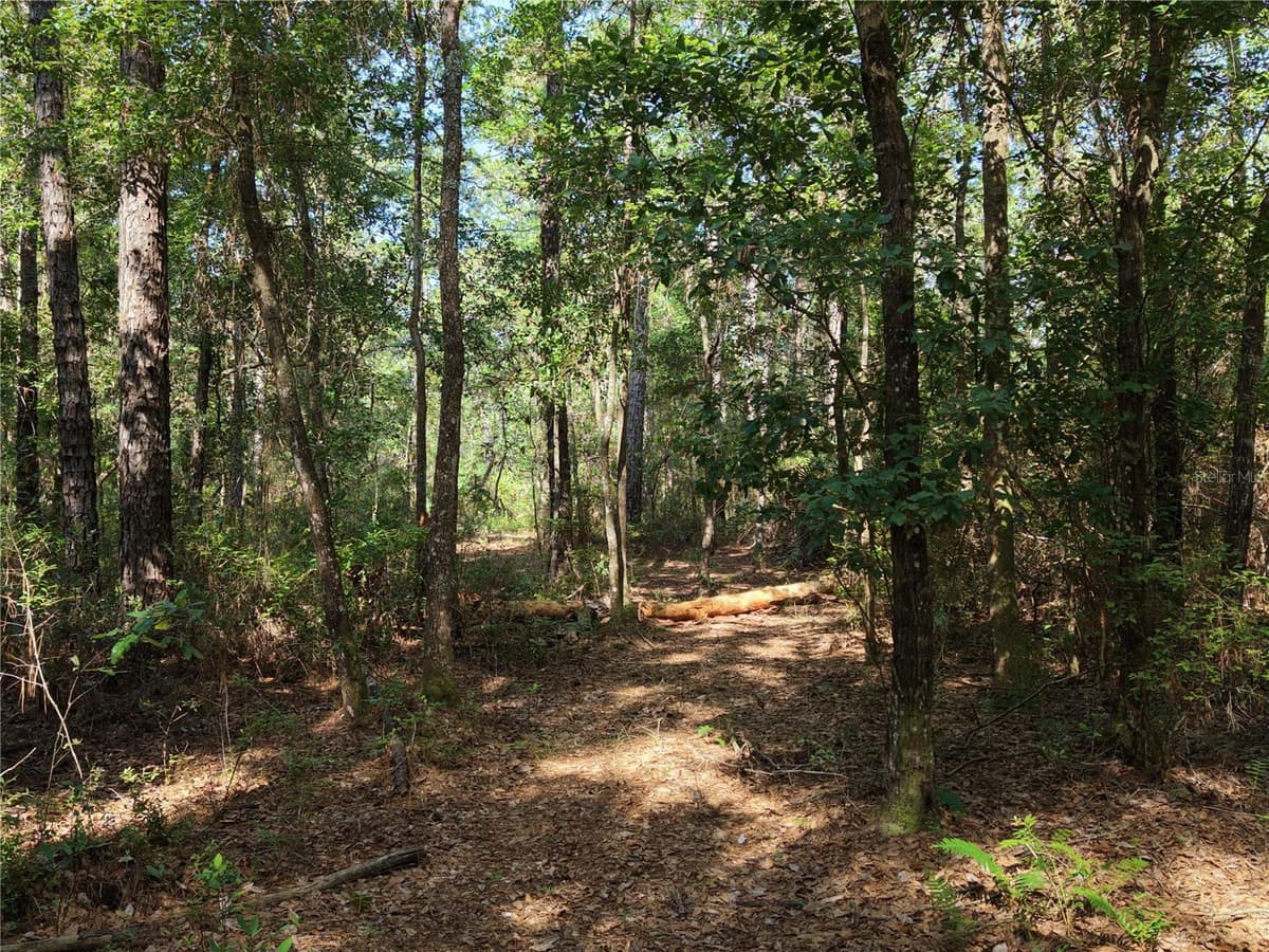 375 BUCK SPRINGS ROAD — photo 43 of 78