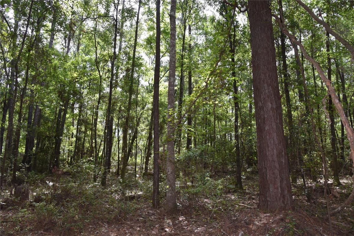 375 BUCK SPRINGS ROAD — photo 55 of 78