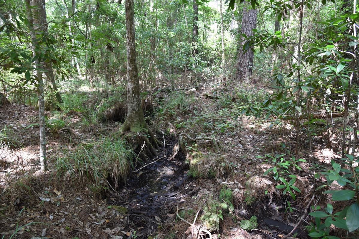 375 BUCK SPRINGS ROAD — photo 9 of 78