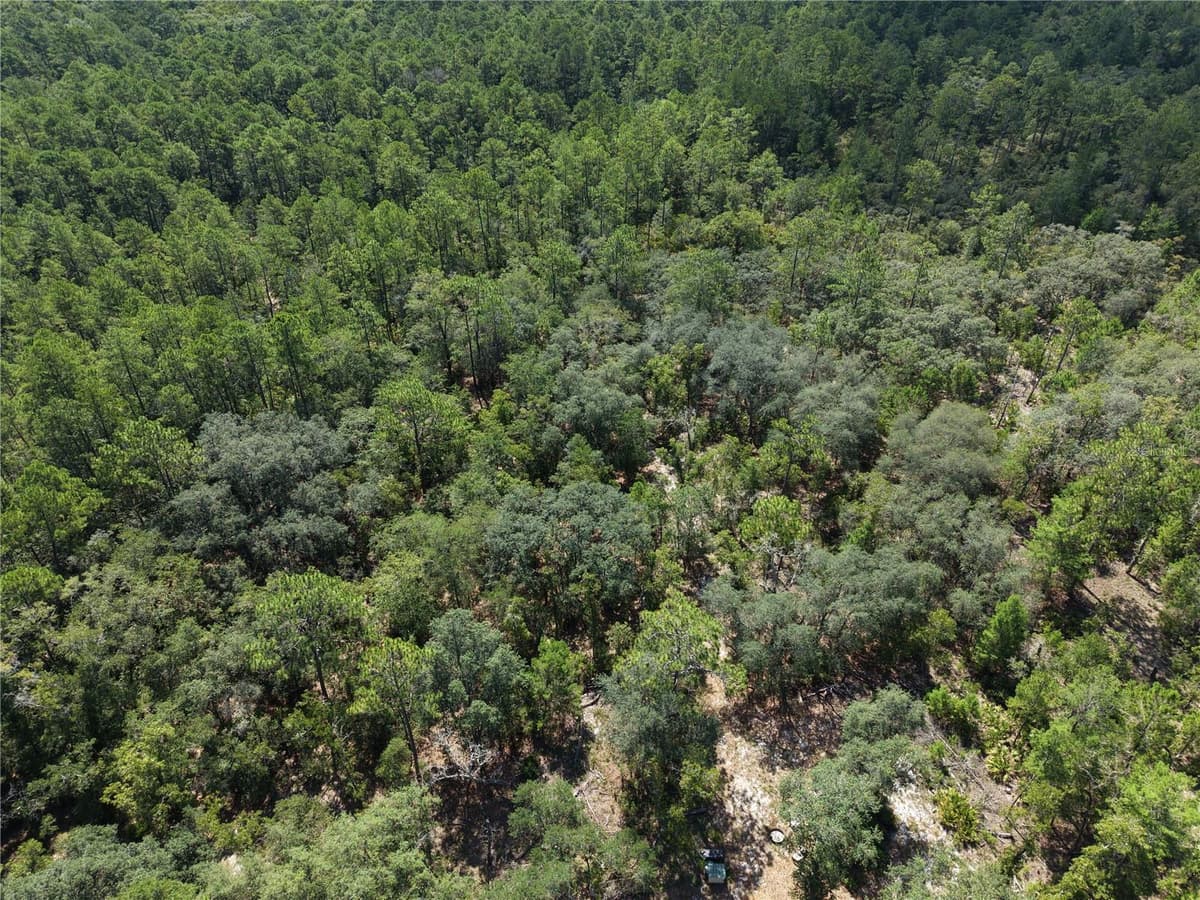 375 BUCK SPRINGS ROAD — photo 45 of 78