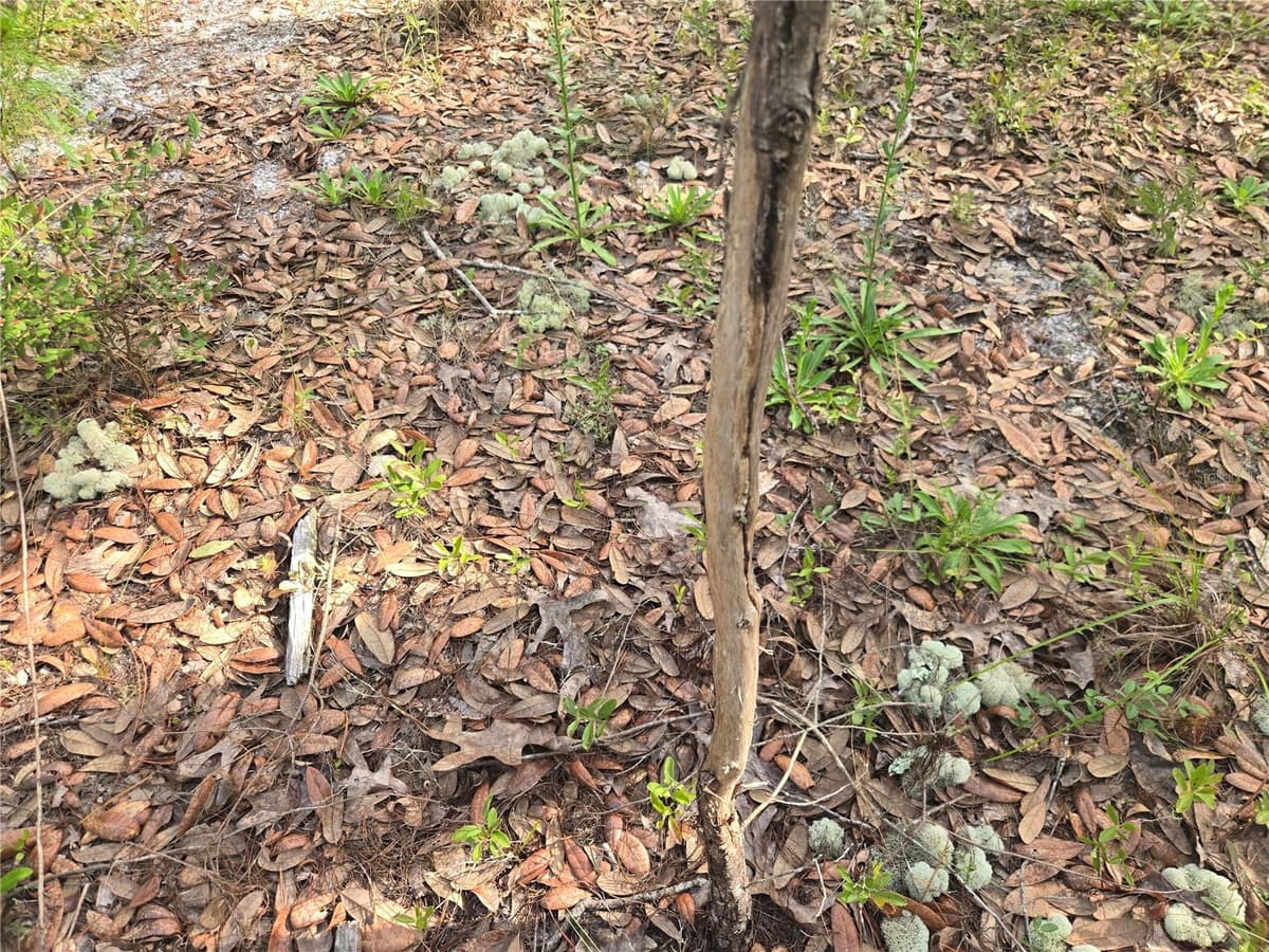 375 BUCK SPRINGS ROAD — photo 34 of 78