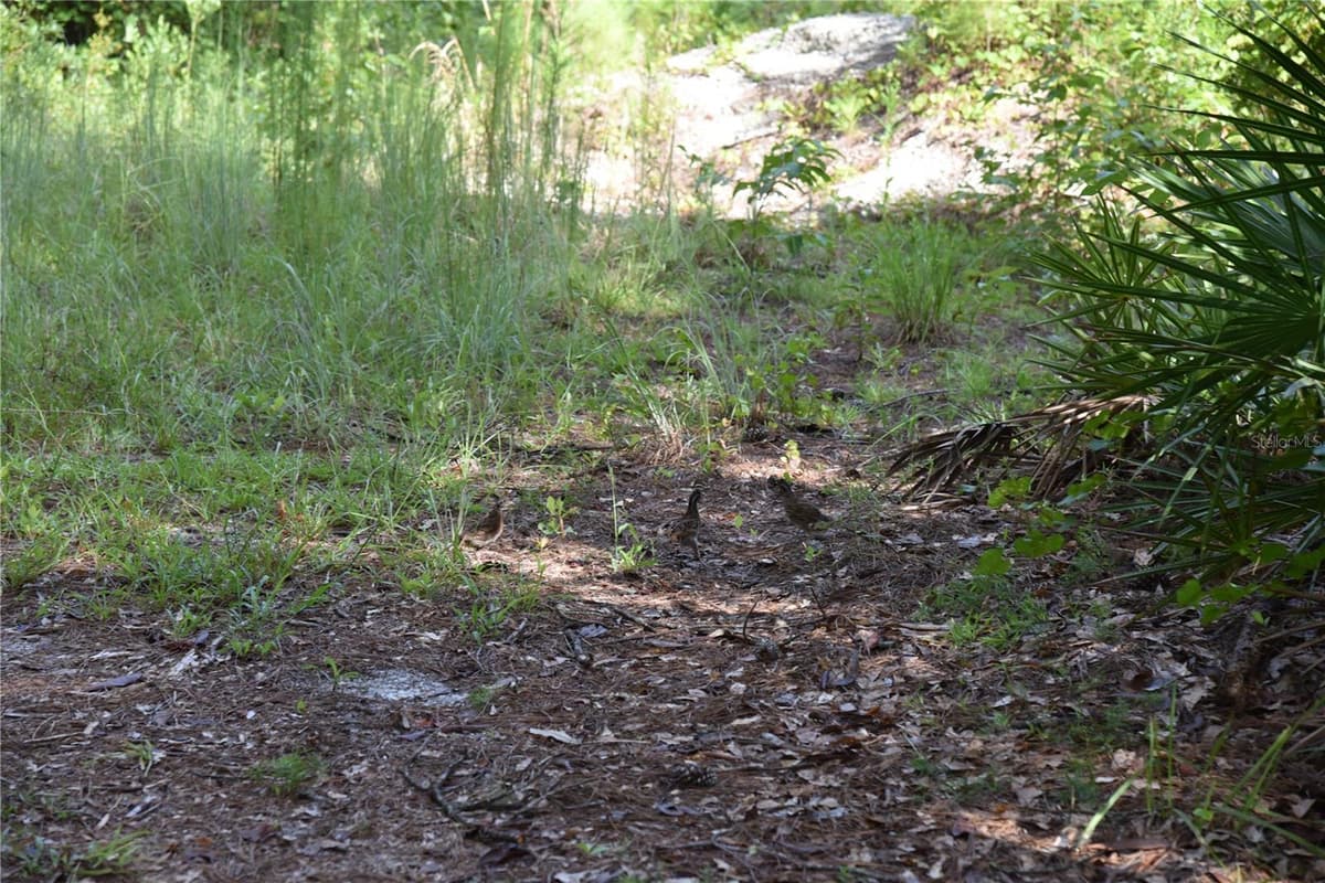 375 BUCK SPRINGS ROAD — photo 37 of 78