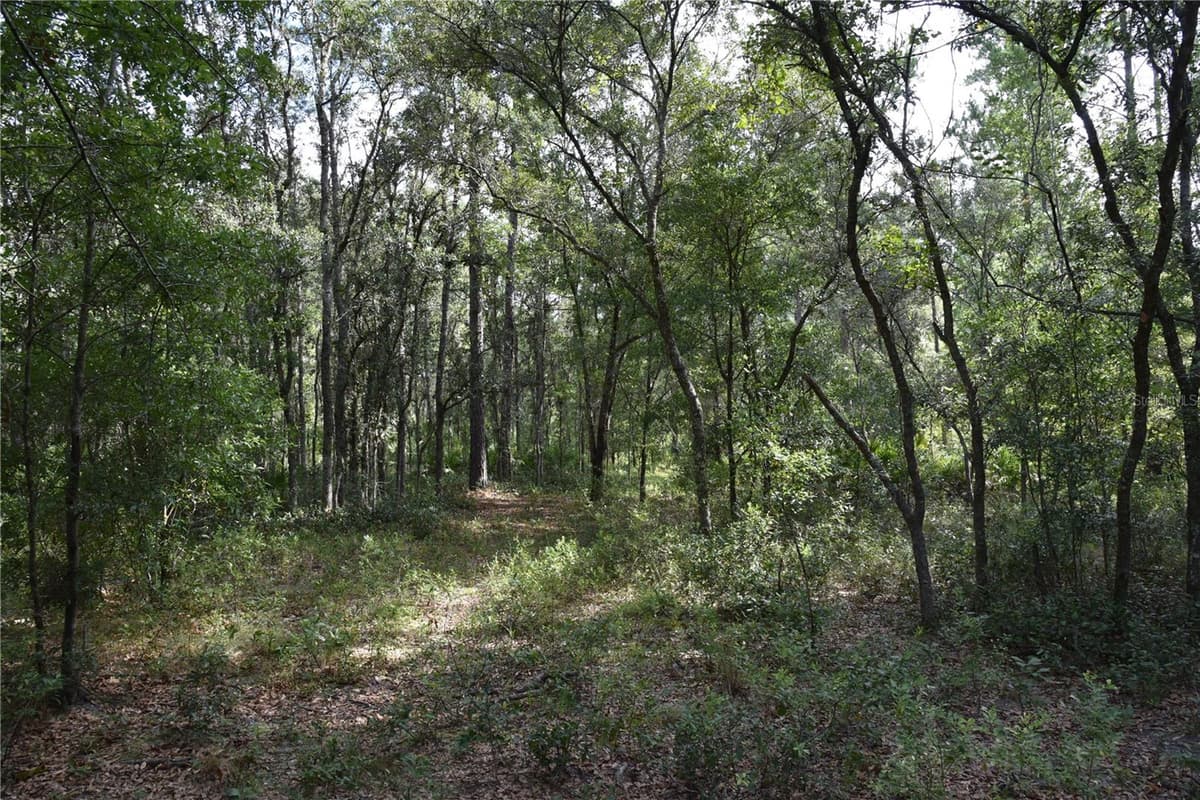 375 BUCK SPRINGS ROAD — photo 56 of 78