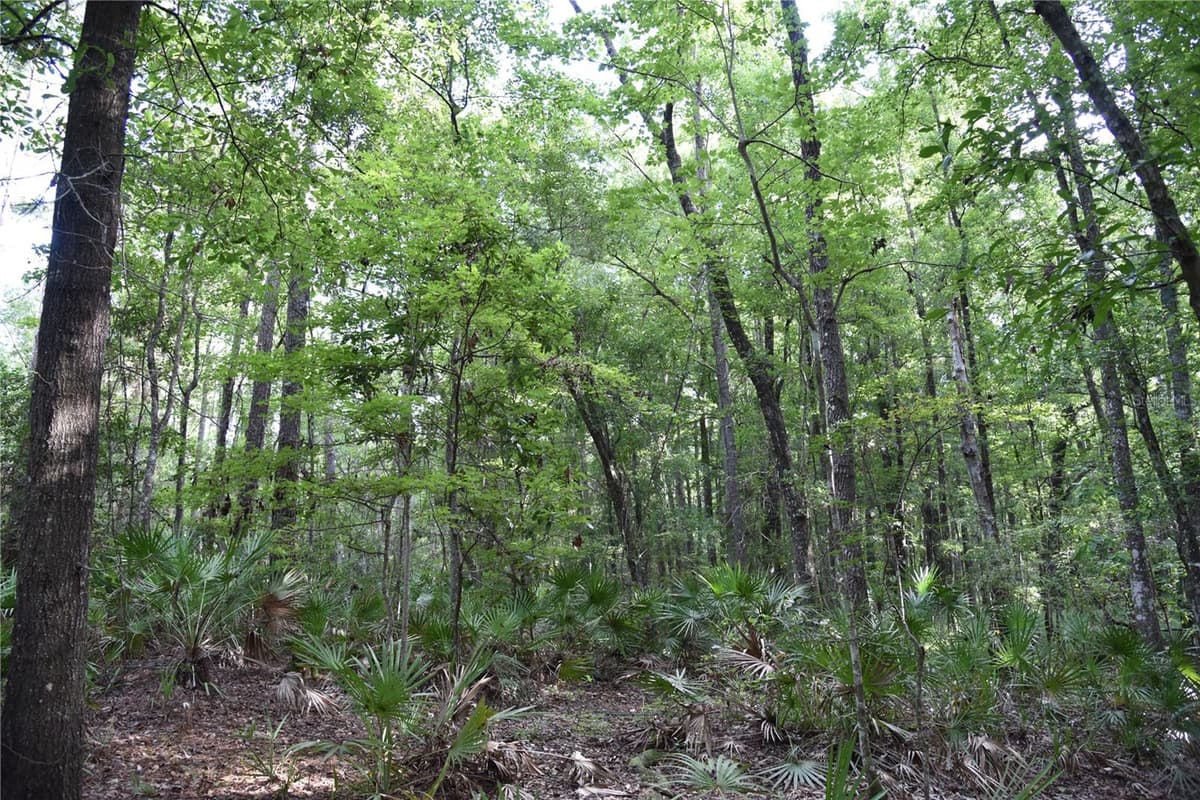 375 BUCK SPRINGS ROAD — photo 74 of 78