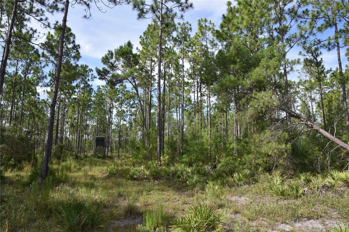 375 BUCK SPRINGS ROAD — photo 60 of 78