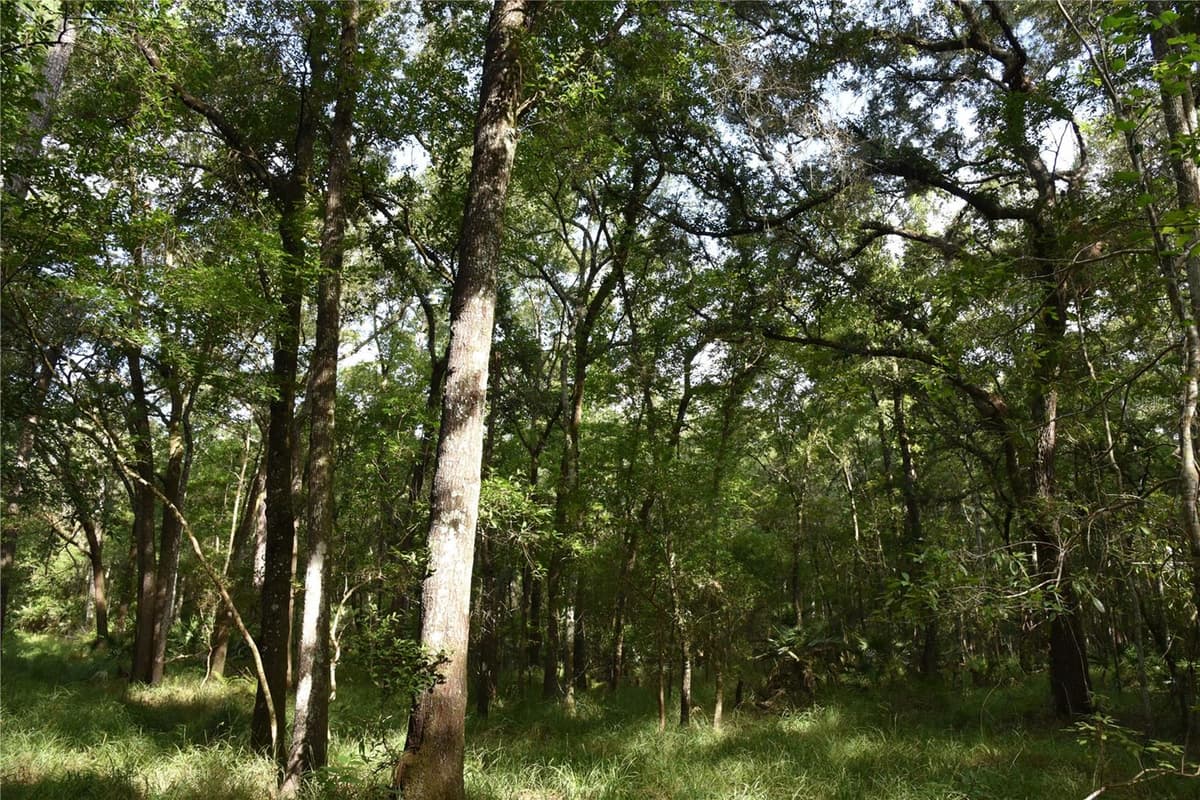 375 BUCK SPRINGS ROAD — photo 78 of 78