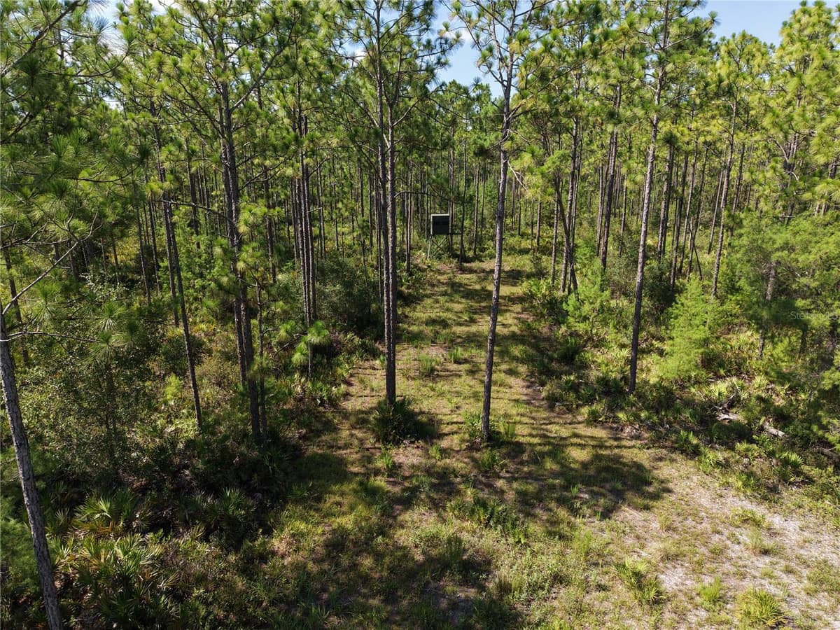 375 BUCK SPRINGS ROAD — photo 49 of 78