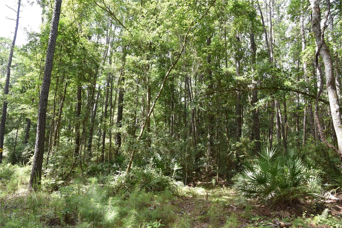 375 BUCK SPRINGS ROAD — photo 68 of 78