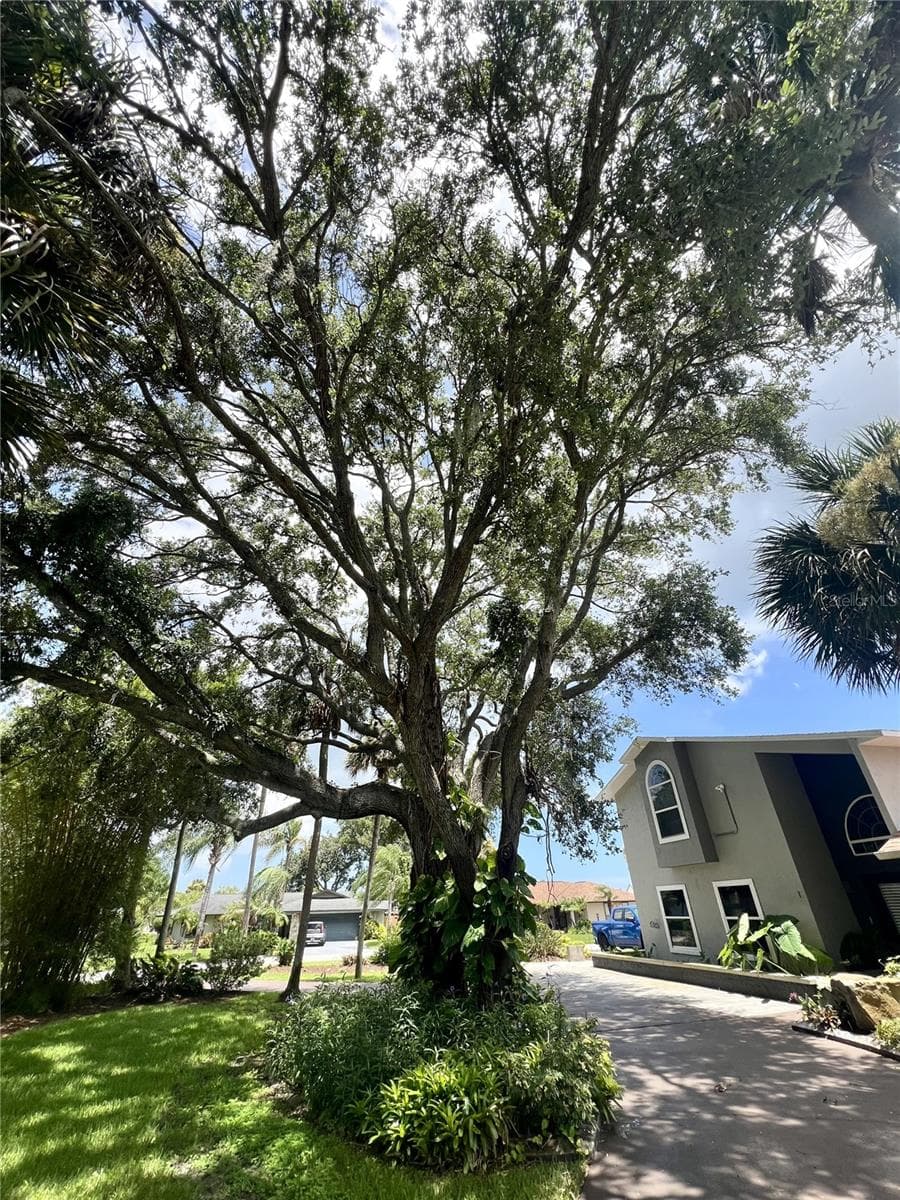 1 HARRIS CIRCLE — photo 47 of 100
