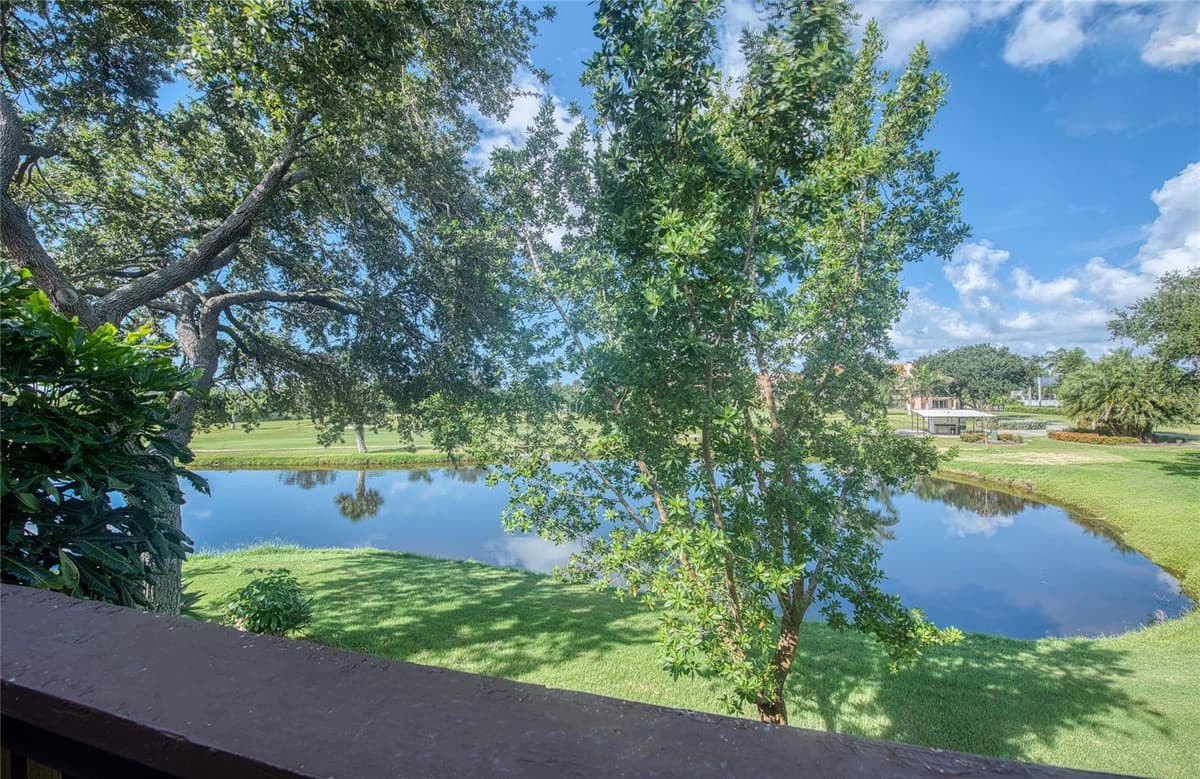 1328 PELICAN CREEK CROSSING — photo 69 of 97