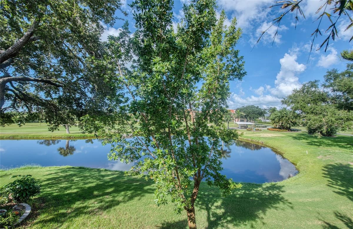 1328 PELICAN CREEK CROSSING — photo 42 of 97