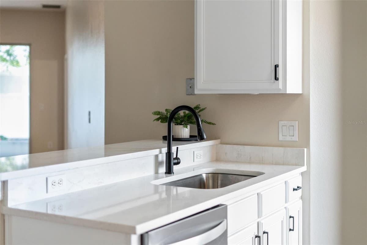 478 SYCAMORE SPRINGS STREET — photo 13 of 42