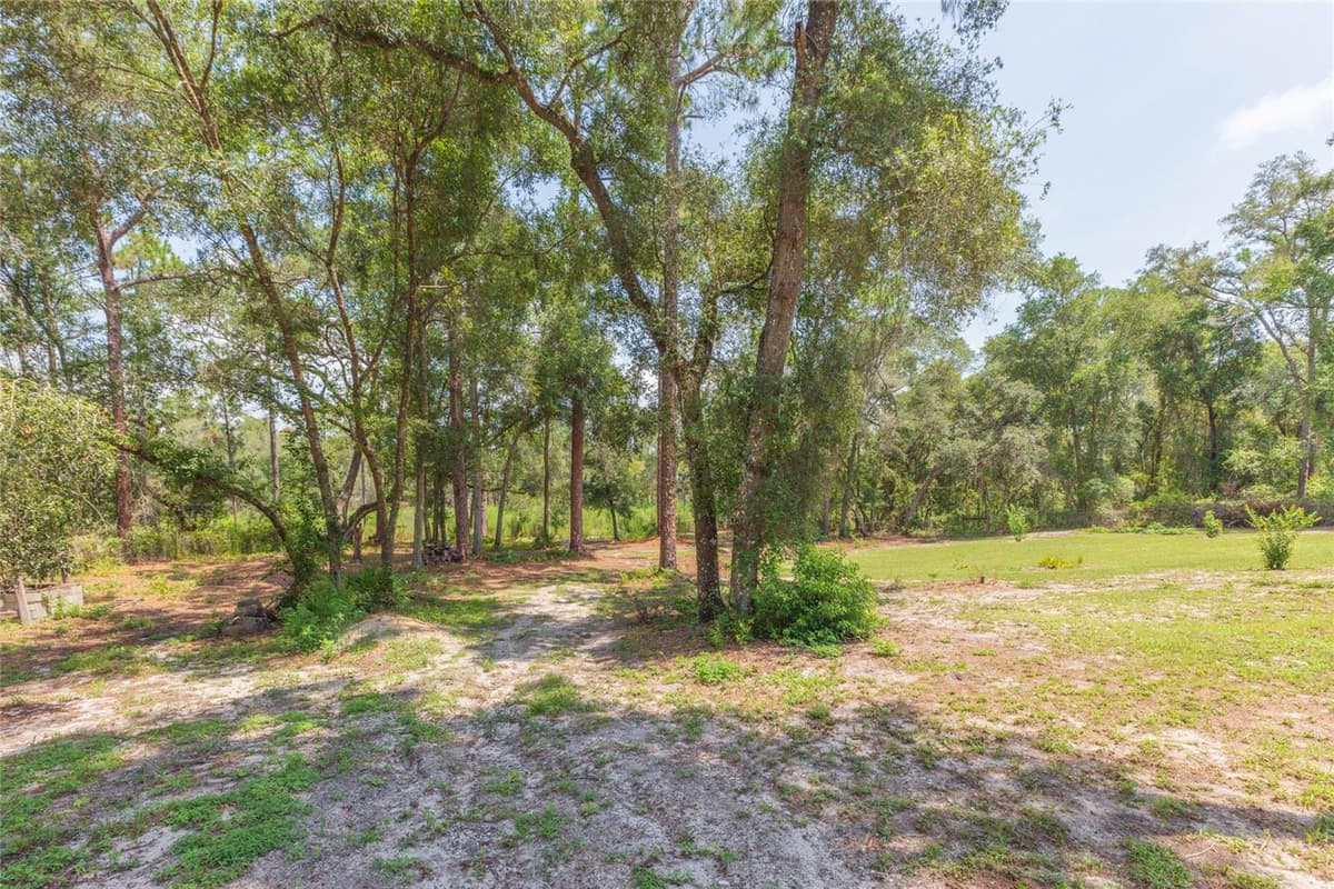 34299 BELT DRIVE — photo 58 of 74