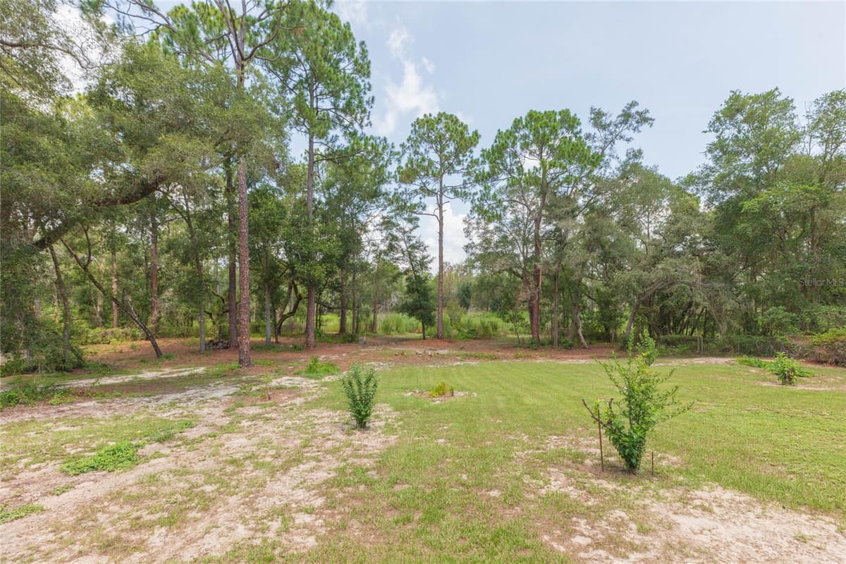 34299 BELT DRIVE — photo 62 of 74