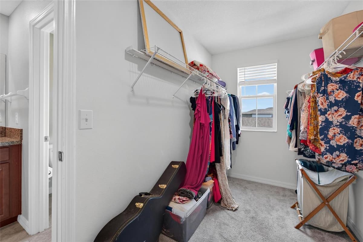 5119 WHITE CHICORY DRIVE — photo 49 of 90