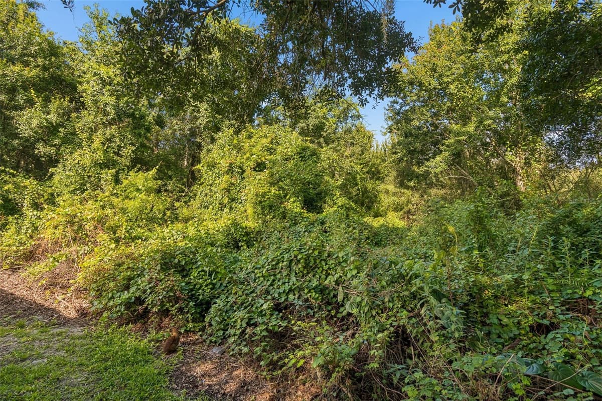 3813 POLUMBO DRIVE — photo 52 of 56