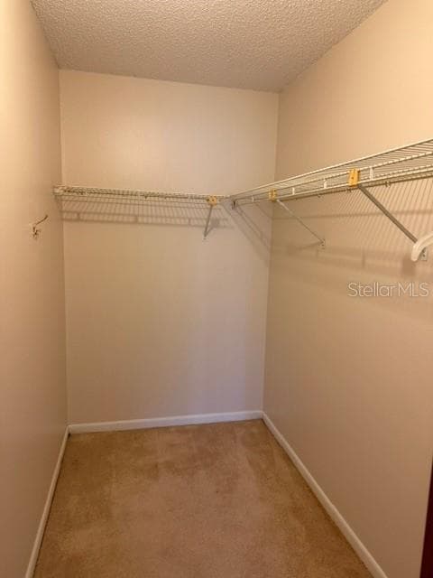 3048 UNITY TREE DRIVE — photo 11 of 14