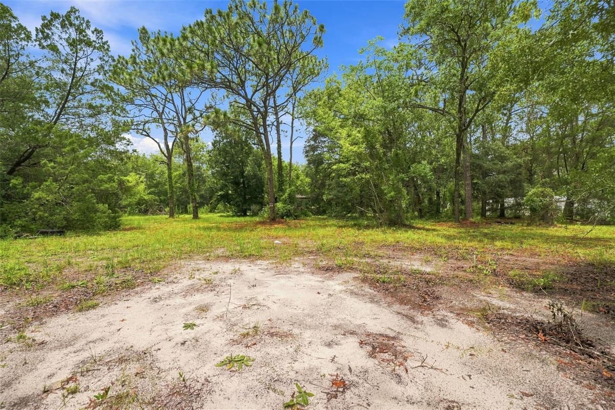4734 SLASH PINE AVENUE — photo 4 of 19