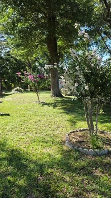 10335 ABBY DRIVE — photo 49 of 64