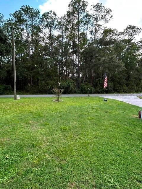 10335 ABBY DRIVE — photo 57 of 64
