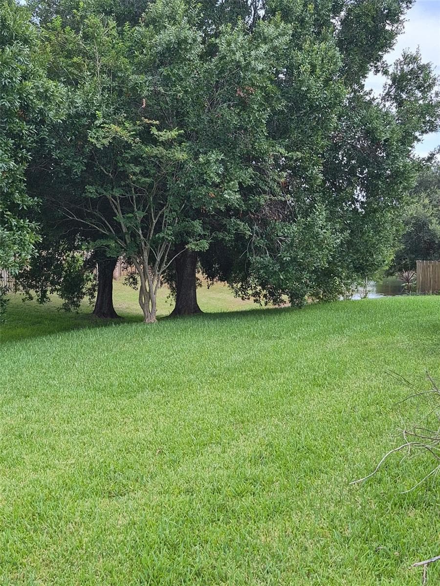 3163 FOREST CREEK DRIVE — photo 12 of 44
