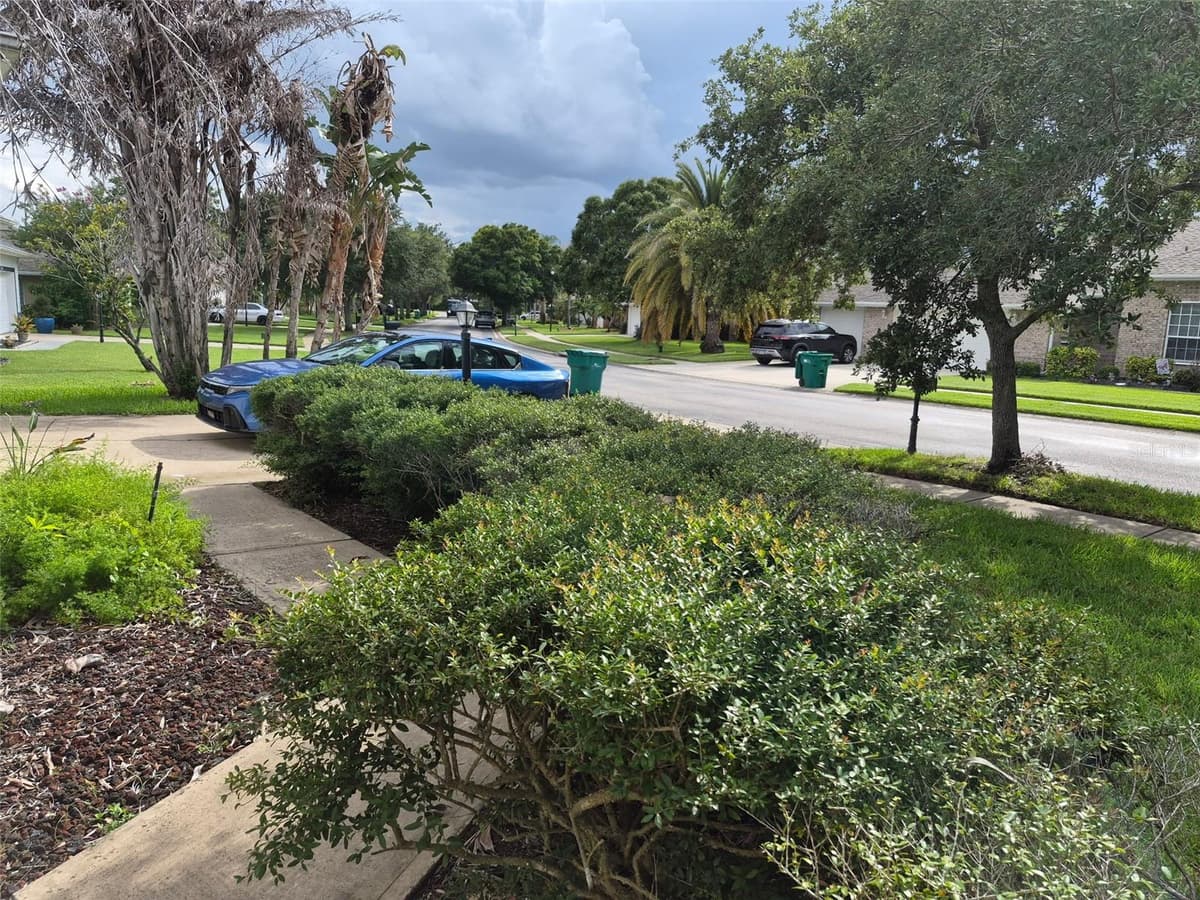 3163 FOREST CREEK DRIVE — photo 43 of 44