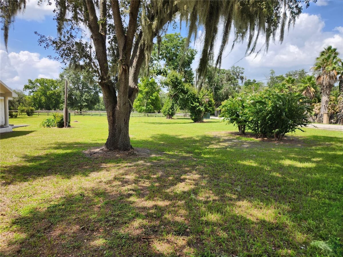 3903 POWERLINE ROAD — photo 4 of 4